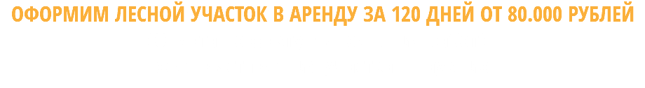 ОФОРМИМ ЛЕСНОЙ УЧАСТОК В АРЕНДУ ЗА 120 ДНЕЙ ОТ 80.000 РУБЛЕЙ (Оплата по факту выполнения работ) - после выставления участка на аукцион